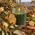 Australian Bush